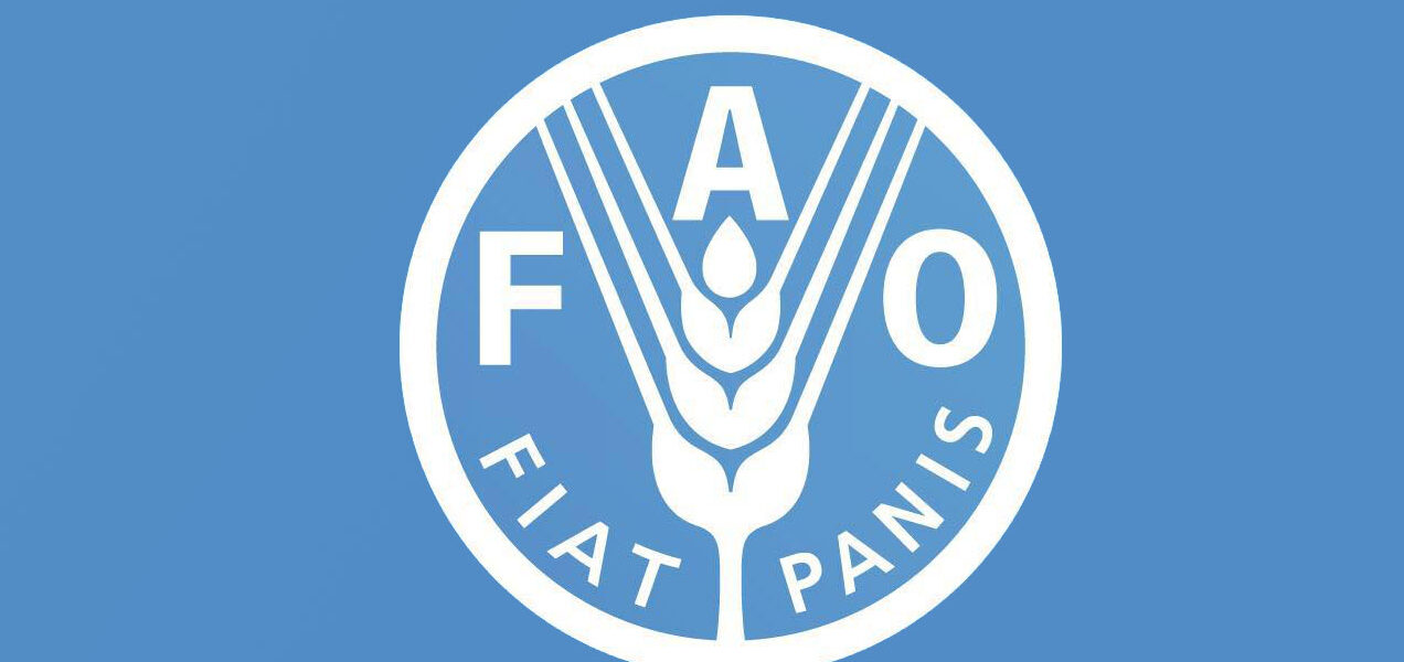 FAO endorses new Strategic Framework to drive agri-food systems transformation
