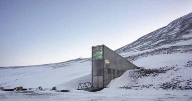 New Seeds Added to the Svalbard Global Seed Vault