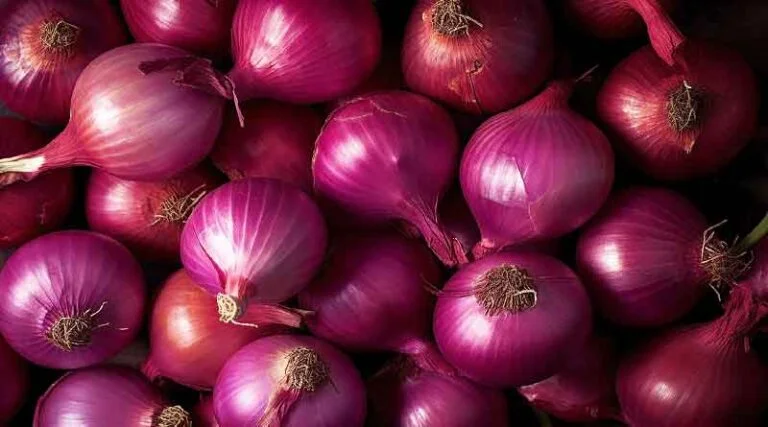 Today's Onion Mandi Rate (31 May 2024)