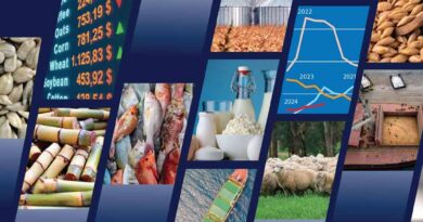 FAO Foresees a Stable Outlook for Most Food Commodity Markets in 2024/25