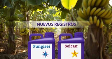Seipasa Strengthens Its Banana Bio-protection Strategy With New Registrations