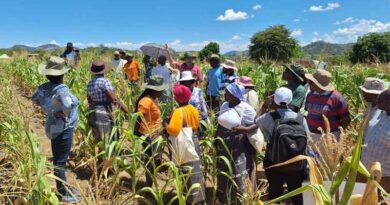 Transforming Agriculture Together: Insights from the Ukama Ustawi Share Fair