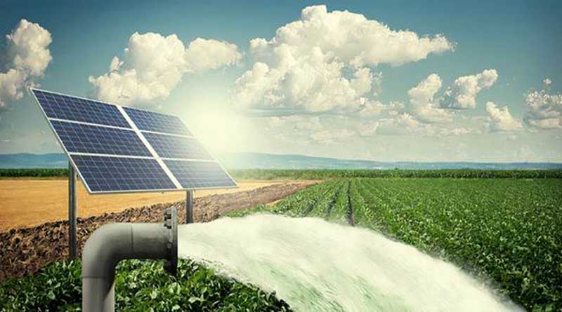 Agriculture: New Energy-Efficient Technologies Set to Drive Sustainable Farming