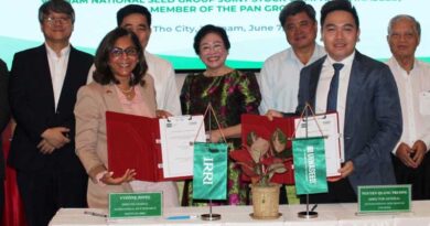 IRRI Joins Forces With Vietnam Seed Corporation to Develop Premium Rice Varieties