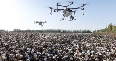 Insights into India's Cotton Farming Sector - Challenges, Innovations, and Economic Trends