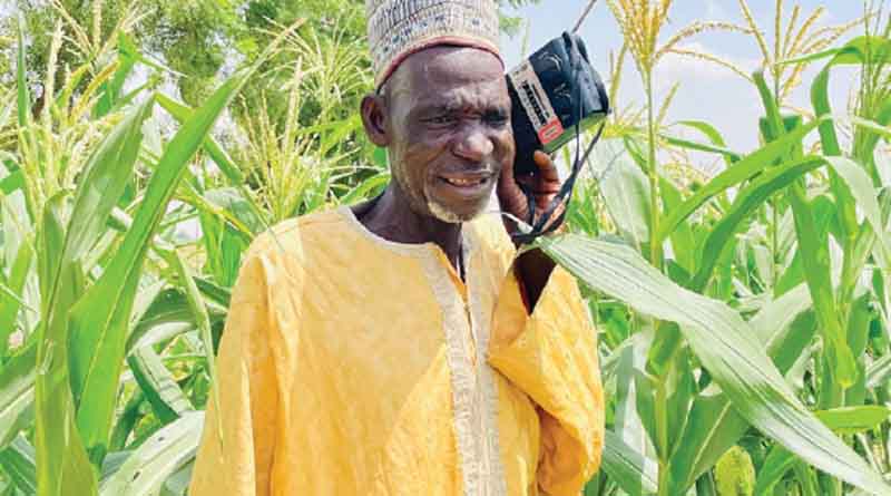 Empowering Farmers Through Climate and Nutritious Crops Hausa Radio Service