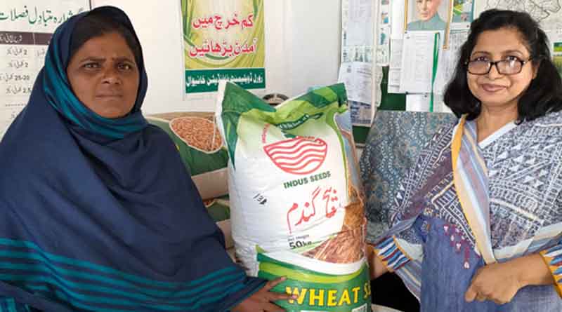 Empowering Pakistani Women Farmers with Zinc Enriched Wheat Varieties
