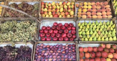 From Farm to Table: Leveraging Technology to Balance Fresh Fruit Demand and Supply