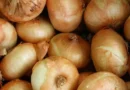 Onion Dynamics Prompt Talks with Farmers to Bolster Buffer Stock