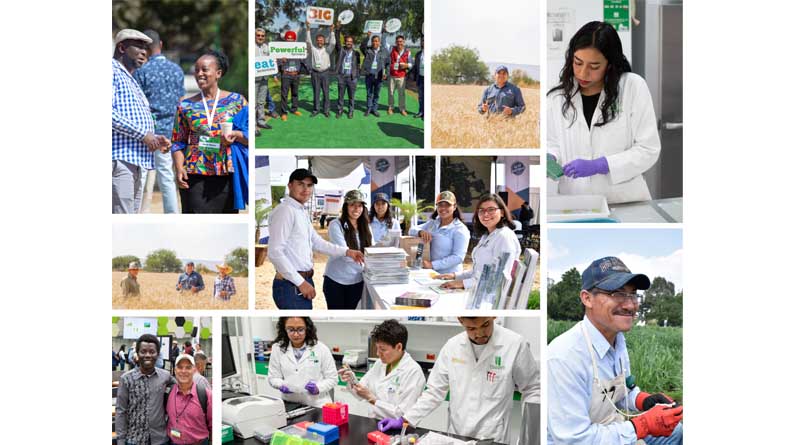 Everyone is welcome! Building an Inclusive and Respectful Workplace at CIMMYT: Our 2030 Vision and Commitment