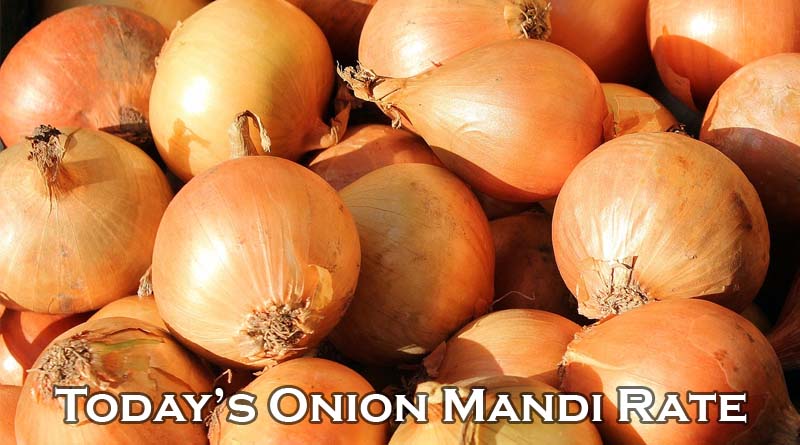 Today's Onion Mandi Rate (as on 28 June 2024)