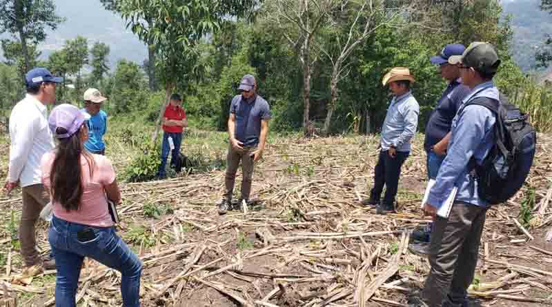 Innovation Hubs in Western Honduras, Cornerstones for Agricultural Sustainability