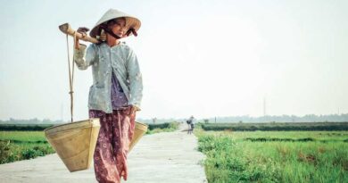 Vietnam's Growing Presence in the Global Agriculture Market: Lessons for India