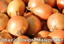 Today's Onion Mandi Rate (as on 03 July 2024)
